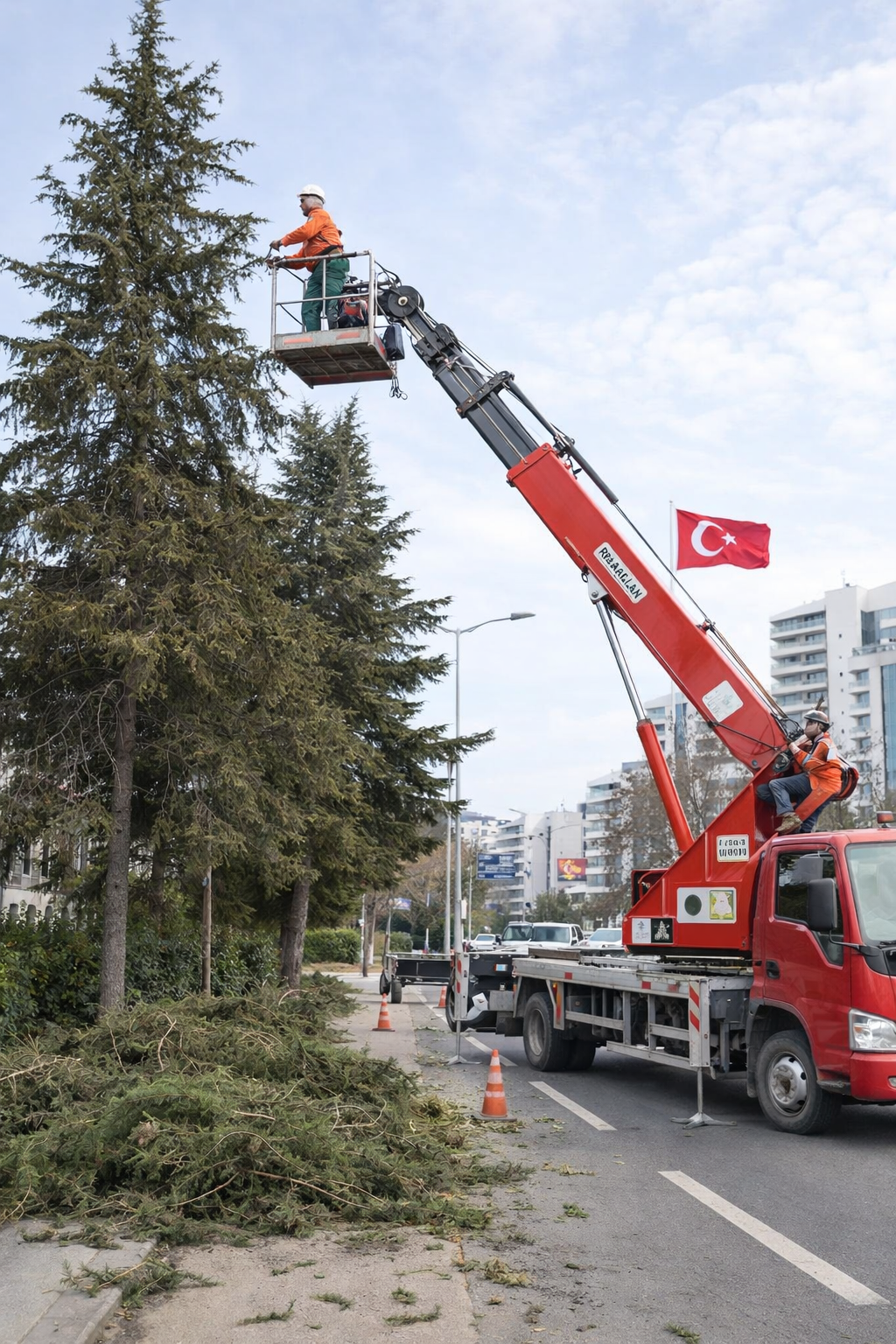 Ankara ağaç budama sepetli vinç kiralama hizmeti