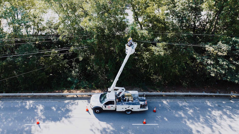 Elektrik ve Aydınlatma Direkleri Bakımında Sepetli Vinç Detay Görseli